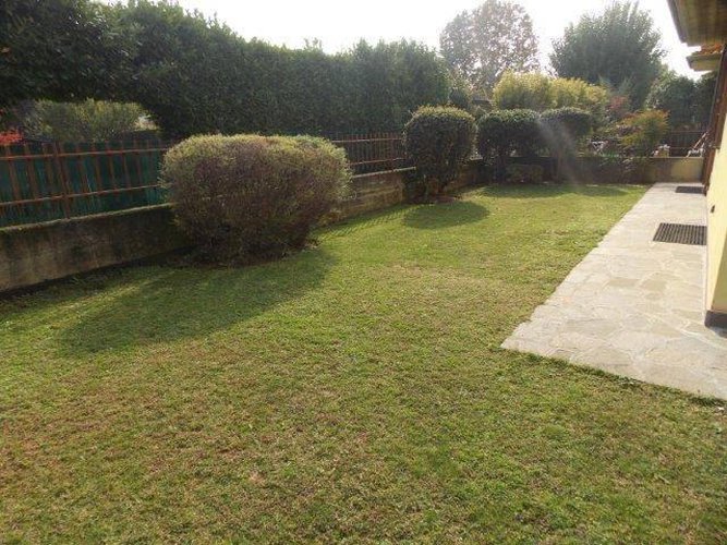 COLOGNE !!! INTROVABILE !! Cologne