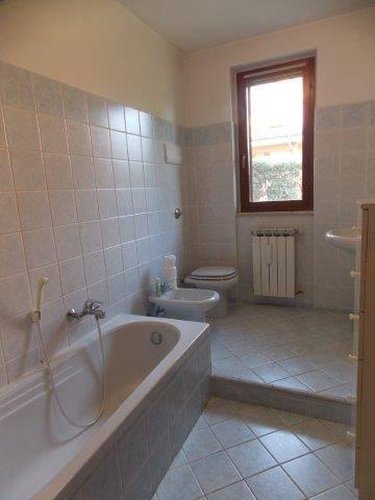 COLOGNE !!! INTROVABILE !! Cologne