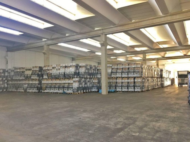 Capannone di 4.300mq con area esterna ottimo prezzo Treviolo