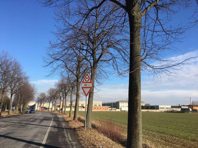 Treviolo/ Lallio lotto di terreno edificabile di 5.000 Mq Treviolo