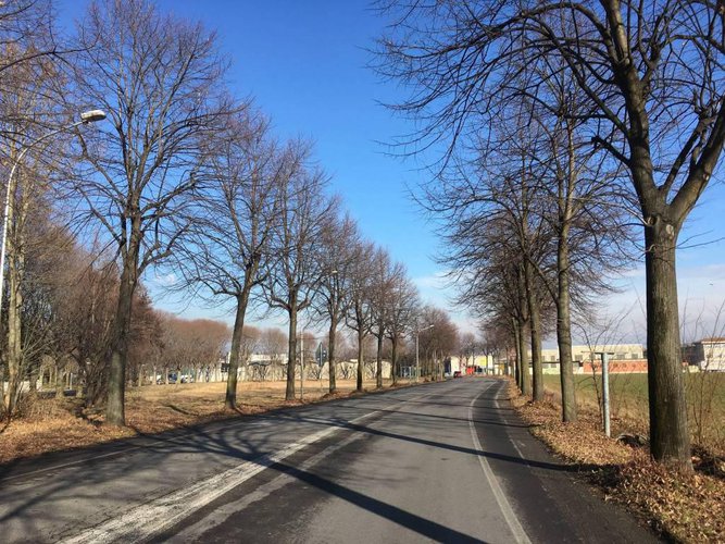 Treviolo/ Lallio lotto di terreno edificabile di 5.000 Mq Treviolo