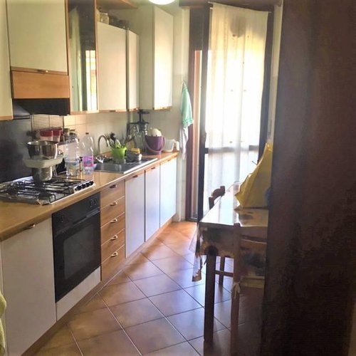 GENEROSO TRILOCALE A 2 PASSI DAL CENTRO DI ZELO BUON PERSICO