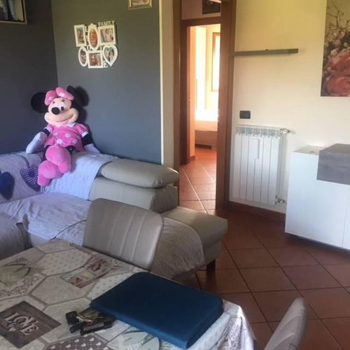 TRILOCALE PER AMANTI ANIMALI E DIVERTIMENTO IN PIENO RELAX Pandino