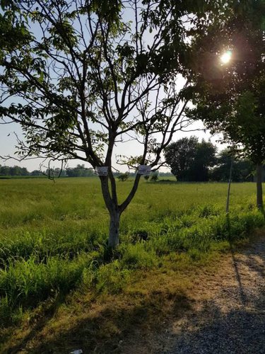 Tipico cascinale con terreno agricolo Fara Gera d'Adda