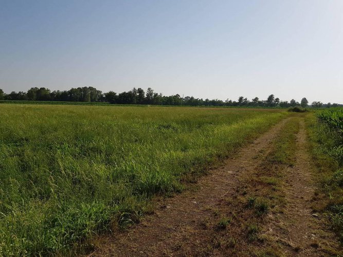 Tipico cascinale con terreno agricolo Fara Gera d'Adda
