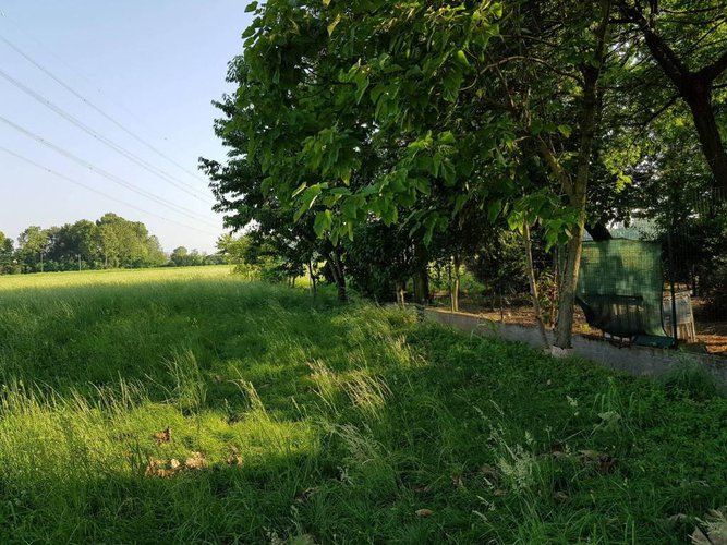Tipico cascinale con terreno agricolo Fara Gera d'Adda