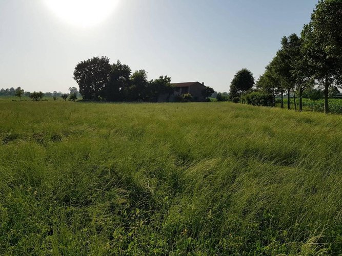 Tipico cascinale con terreno agricolo Fara Gera d'Adda