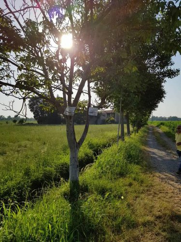 Ottima posizione terreno agricolo Fara Gera d'Adda