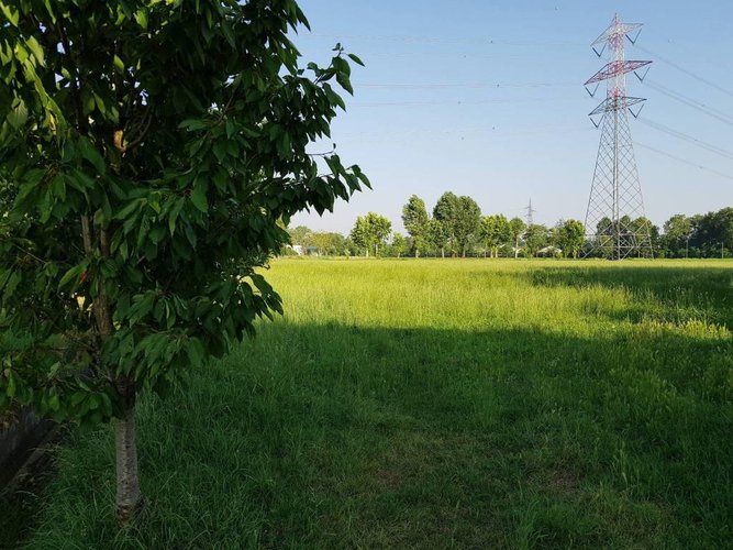 Ottima posizione terreno agricolo Fara Gera d'Adda