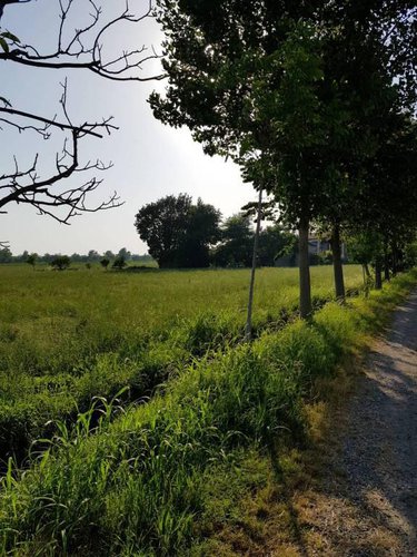 Ottima posizione terreno agricolo Fara Gera d'Adda