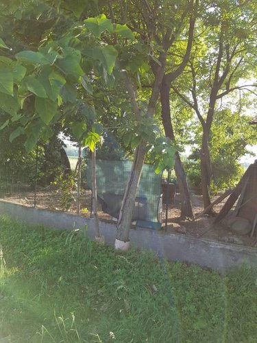 Ottima posizione terreno agricolo Fara Gera d'Adda