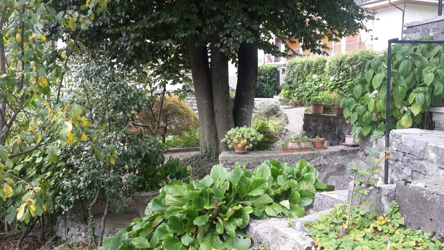 NDIPENDENTISSIMA CON GIARDINO!! Taleggio