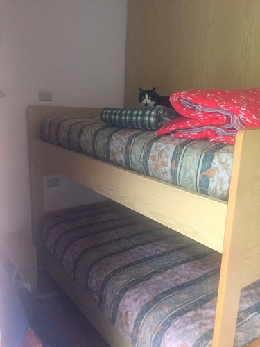 ZONA TRANQUILLA E PANORAMICA! Branzi