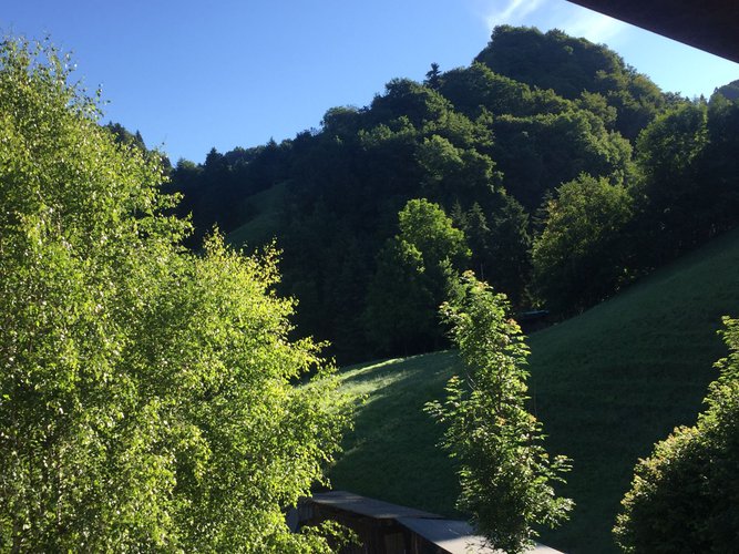 ZONA TRANQUILLA E SERVITISSIMA! Serina