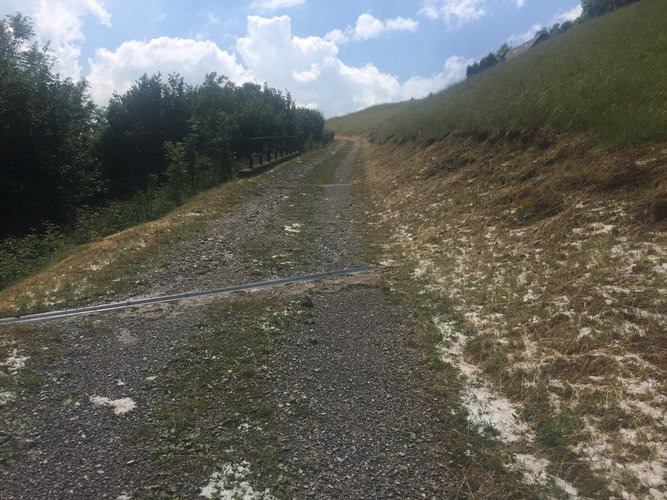 IMMERSO NEL VERDE! Taleggio