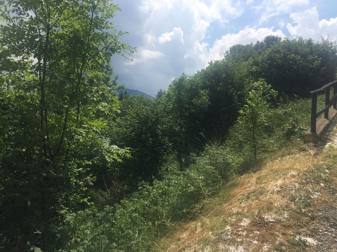 IMMERSO NEL VERDE! Taleggio