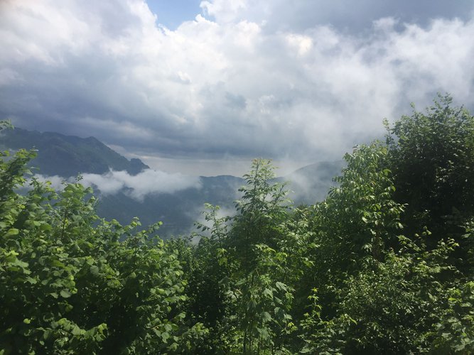 IMMERSO NEL VERDE! Taleggio