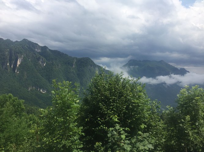 IMMERSO NEL VERDE! Taleggio