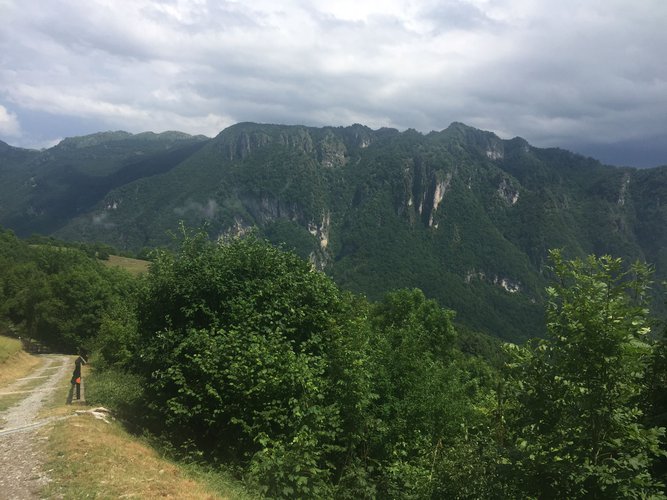 IMMERSO NEL VERDE! Taleggio