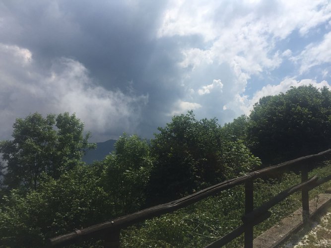 IMMERSO NEL VERDE! Taleggio