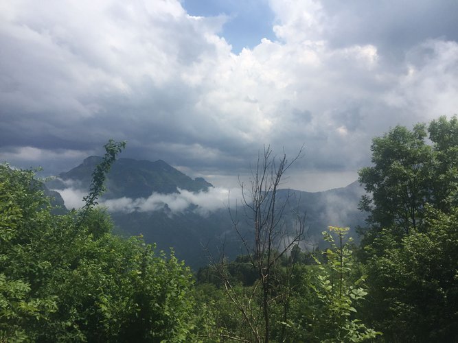 IMMERSO NEL VERDE! Taleggio