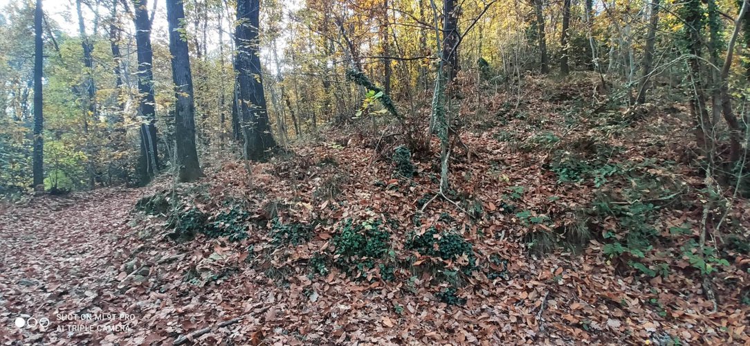 Terreno Agricolo Pontida