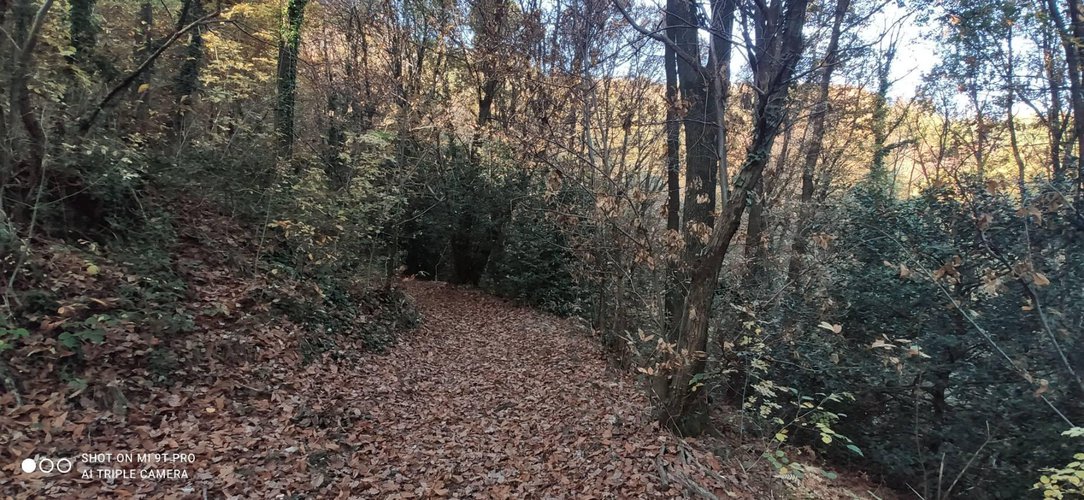 Terreno Agricolo Pontida