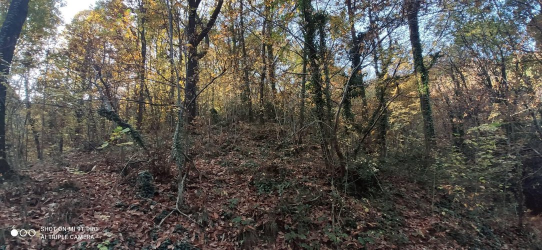 Terreno Agricolo Pontida