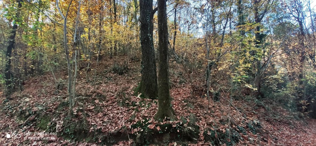 Terreno Agricolo Pontida