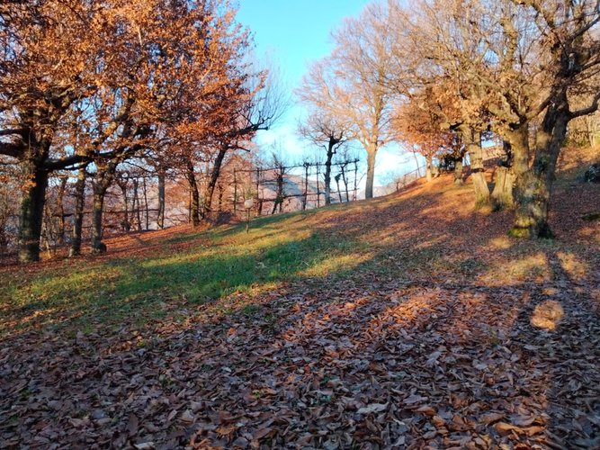 SPETTACOLARE CASA RUSTICA COMPLETAMENTE INDIPENDENTE! Zogno