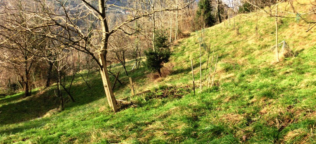 Costa Serina introvabile tipica cascina montana con rustico, terreno annesso mq. 10.000 Costa Serina