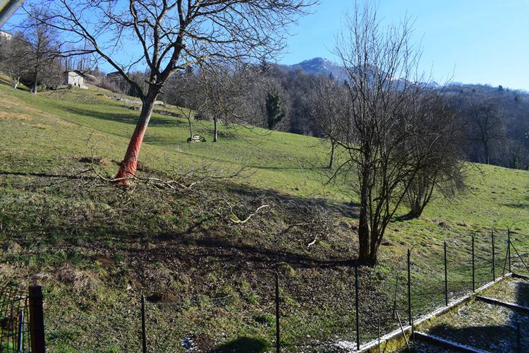 Costa Serina grazioso bilocale con terrazzo e balconi Costa Serina