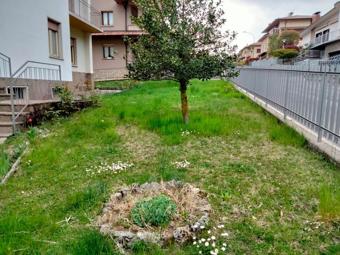 POSIZIONE CENTRALE E SERVITISSIMA! Berbenno