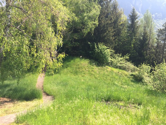 OASI DI PACE! Taleggio