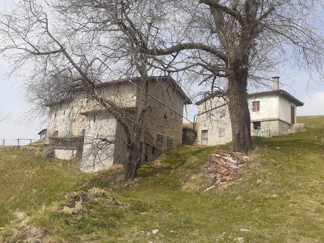 VISTA DA URLO!!! Dossena