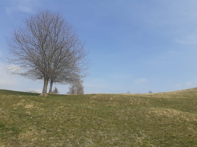 VISTA DA URLO!!! Dossena