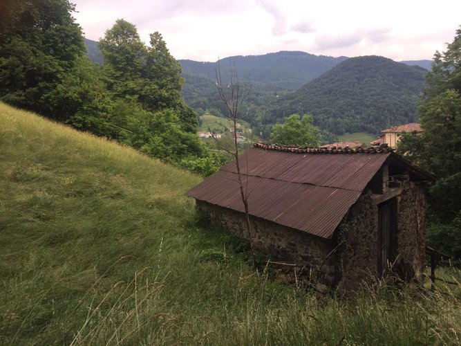 TRANQUILLO E IMMERSO NEL VERDE!!