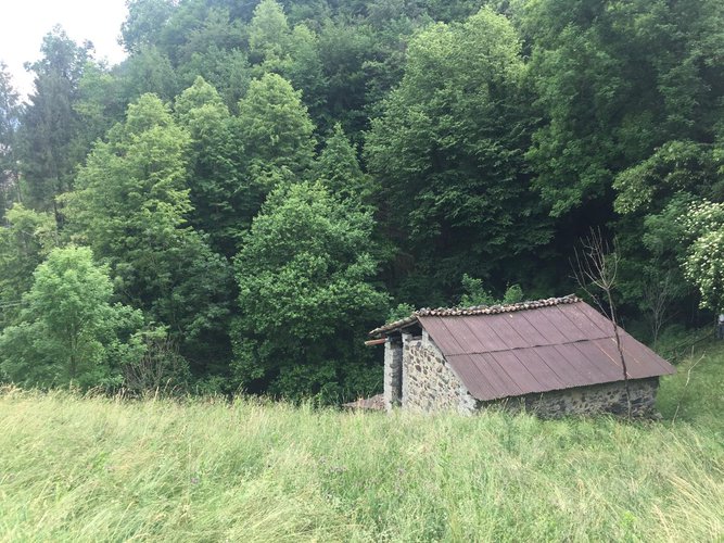 TRANQUILLO E IMMERSO NEL VERDE!! Camerata Cornello