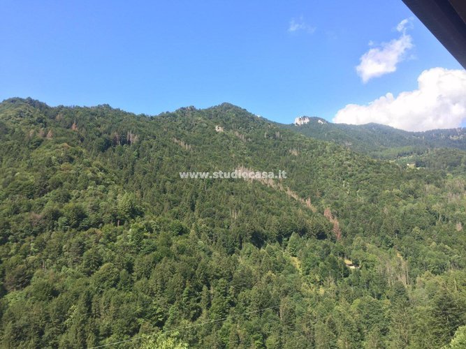 ASSOLUTAMENTE UNICA...E GUARDA CHE VISTA!!! Piazzatorre