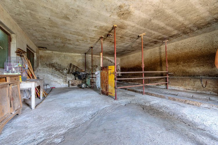 Rustico/Casale/Corte Albino