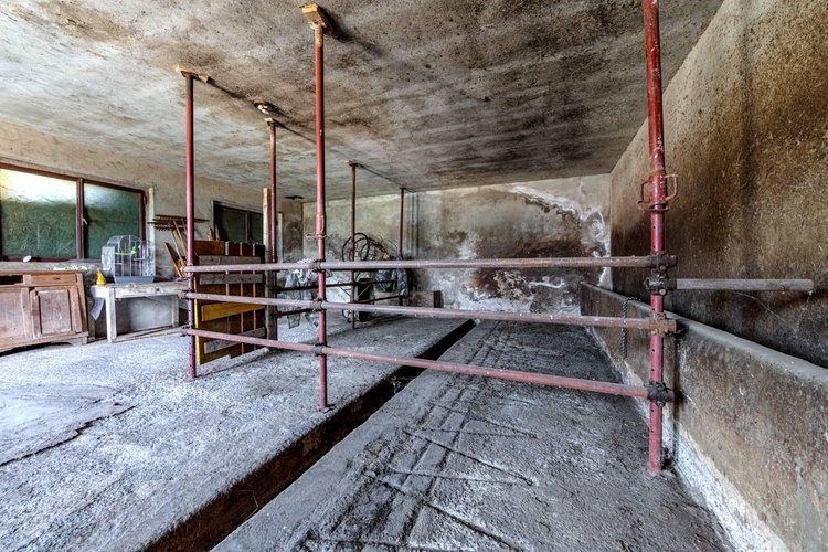 Rustico/Casale/Corte Albino