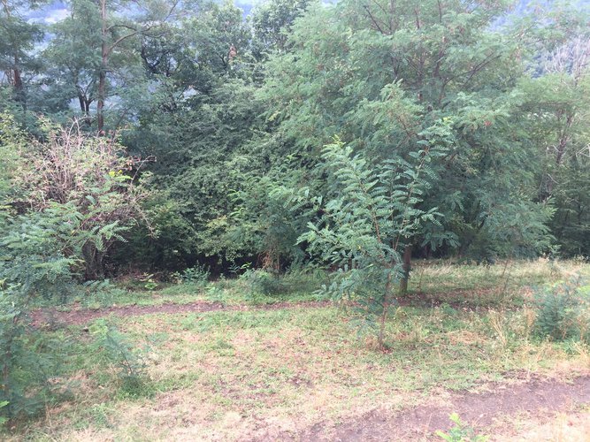 VISTA SPETTACOLARE!! Blello