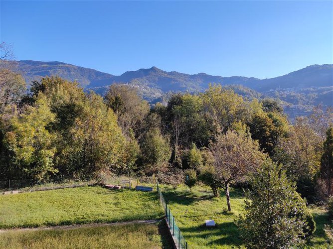 Sant’Omobono Terme adorabile appartamento con giardino e piccolo rustico Sant'Omobono Terme