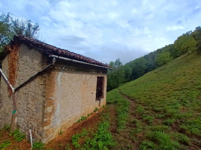 IMMERSI NEL VERDE! Costa Serina