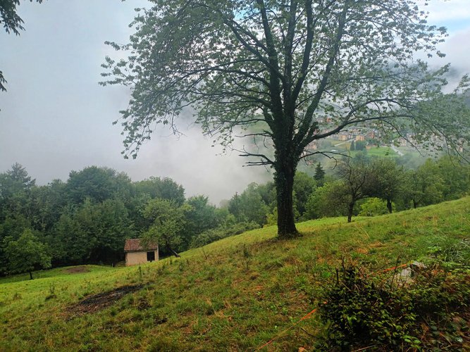 IMMERSI NEL VERDE! Costa Serina