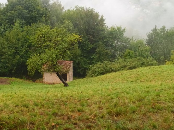 IMMERSI NEL VERDE! Costa Serina
