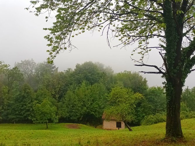 IMMERSI NEL VERDE! Costa Serina