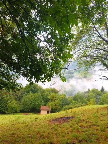 IMMERSI NEL VERDE! Costa Serina