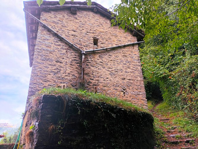 IMMERSI NEL VERDE! Costa Serina