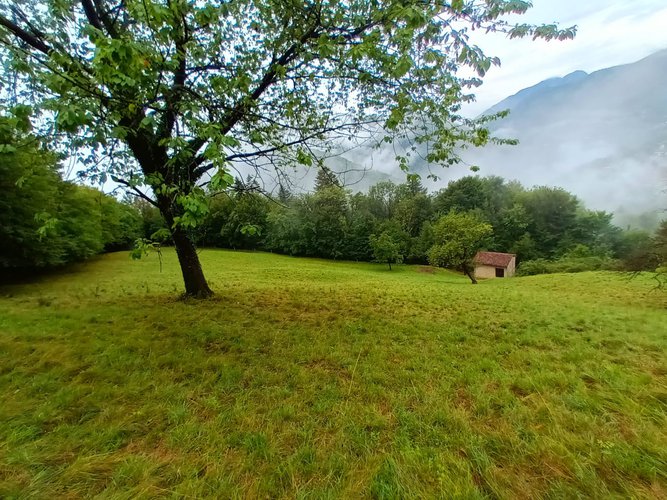 IMMERSI NEL VERDE! Costa Serina